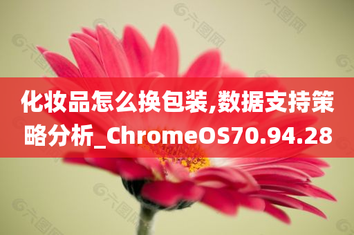 化妆品怎么换包装,数据支持策略分析_ChromeOS70.94.28