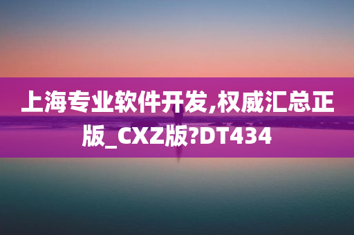 上海专业软件开发,权威汇总正版_CXZ版?DT434