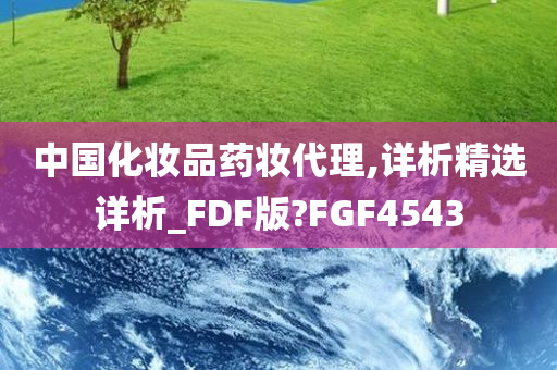 中国化妆品药妆代理,详析精选详析_FDF版?FGF4543