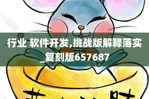 行业 软件开发,挑战版解释落实_复刻版657687