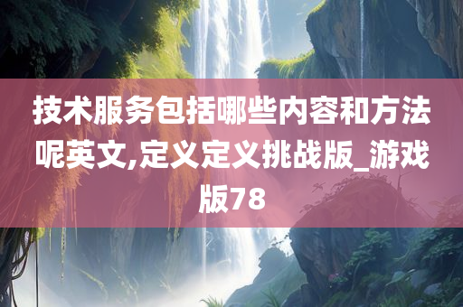 技术服务包括哪些内容和方法呢英文,定义定义挑战版_游戏版78