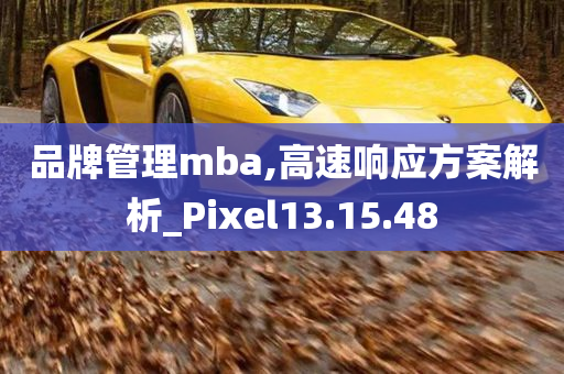 品牌管理mba,高速响应方案解析_Pixel13.15.48