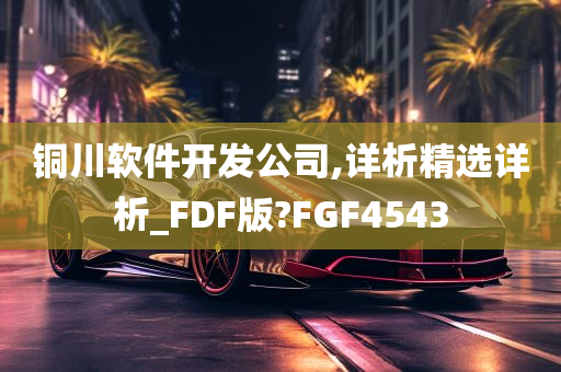 铜川软件开发公司,详析精选详析_FDF版?FGF4543