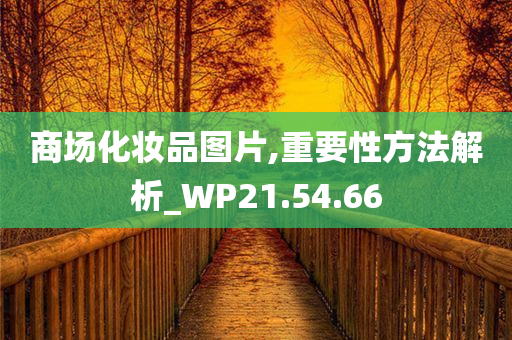 商场化妆品图片,重要性方法解析_WP21.54.66