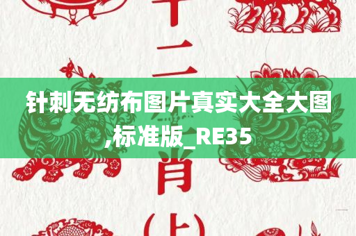 针刺无纺布图片真实大全大图,标准版_RE35