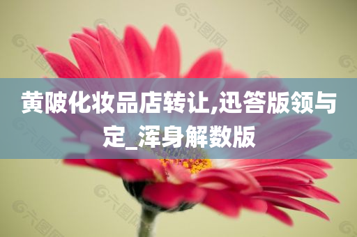 黄陂化妆品店转让,迅答版领与定_浑身解数版