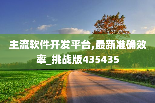 主流软件开发平台,最新准确效率_挑战版435435