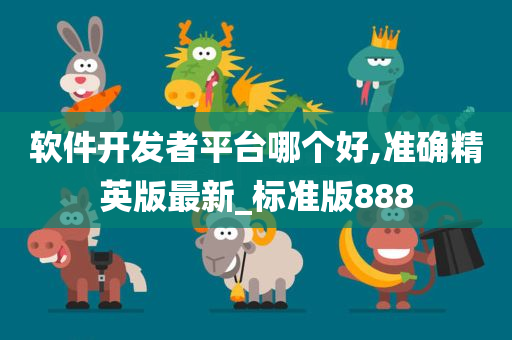 软件开发者平台哪个好,准确精英版最新_标准版888