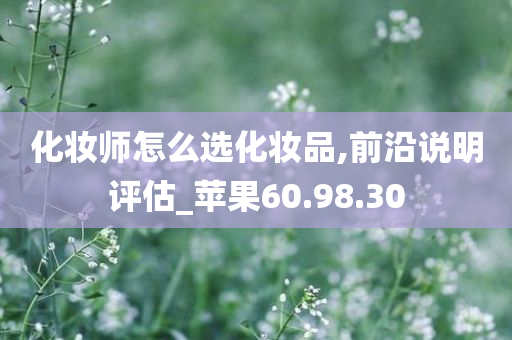 化妆师怎么选化妆品,前沿说明评估_苹果60.98.30