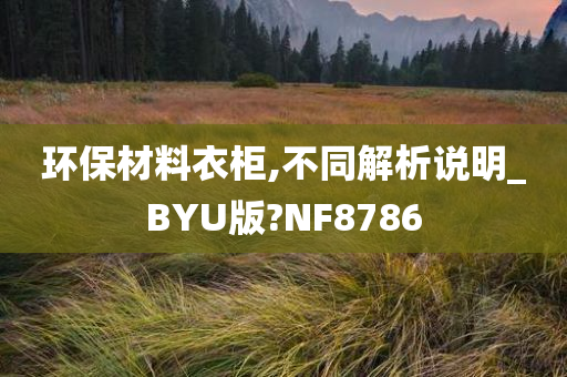 环保材料衣柜,不同解析说明_BYU版?NF8786