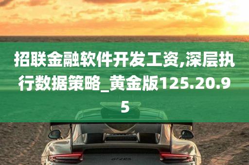 招联金融软件开发工资,深层执行数据策略_黄金版125.20.95