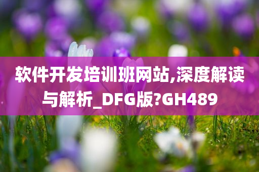 软件开发培训班网站,深度解读与解析_DFG版?GH489