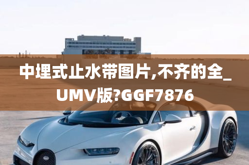 中埋式止水带图片,不齐的全_UMV版?GGF7876