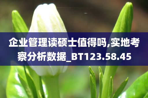 企业管理读硕士值得吗,实地考察分析数据_BT123.58.45