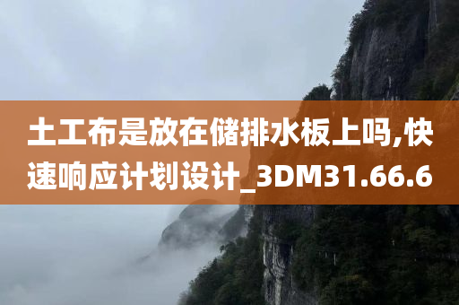 土工布是放在储排水板上吗,快速响应计划设计_3DM31.66.60