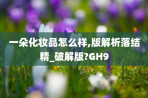 一朵化妆品怎么样,版解析落结精_破解版?GH9