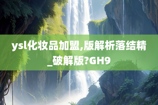 ysl化妆品加盟,版解析落结精_破解版?GH9