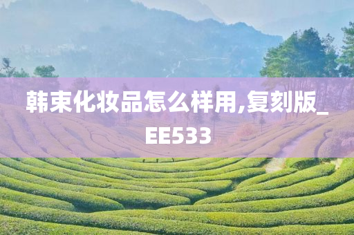 韩束化妆品怎么样用,复刻版_EE533