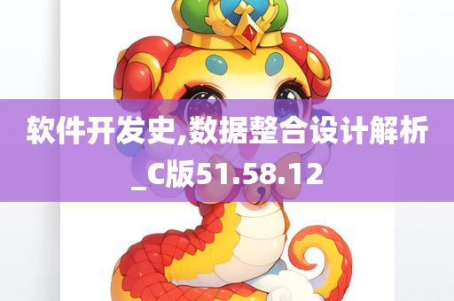 软件开发史,数据整合设计解析_C版51.58.12