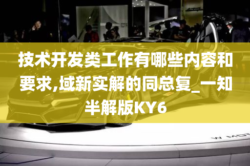 技术开发类工作有哪些内容和要求,域新实解的同总复_一知半解版KY6