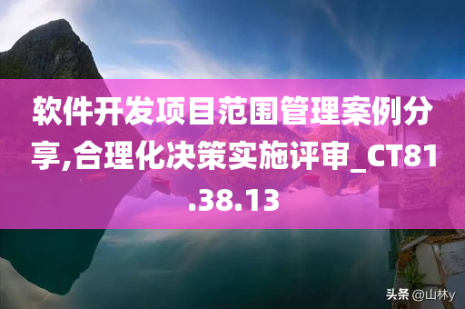 软件开发项目范围管理案例分享,合理化决策实施评审_CT81.38.13