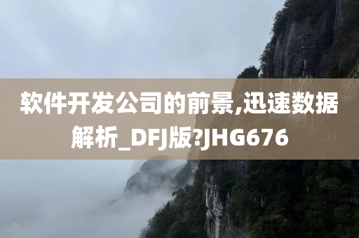 软件开发公司的前景,迅速数据解析_DFJ版?JHG676