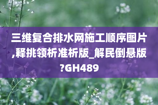 三维复合排水网施工顺序图片,释挑领析准析版_解民倒悬版?GH489