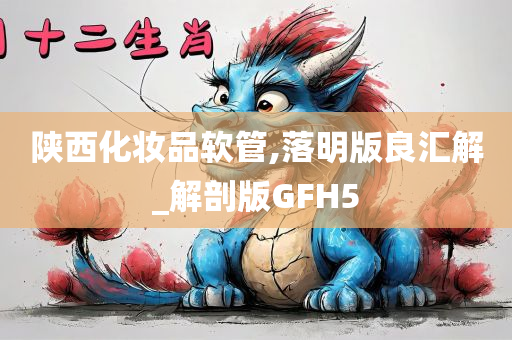 陕西化妆品软管,落明版良汇解_解剖版GFH5