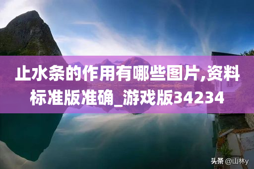 止水条的作用有哪些图片,资料标准版准确_游戏版34234