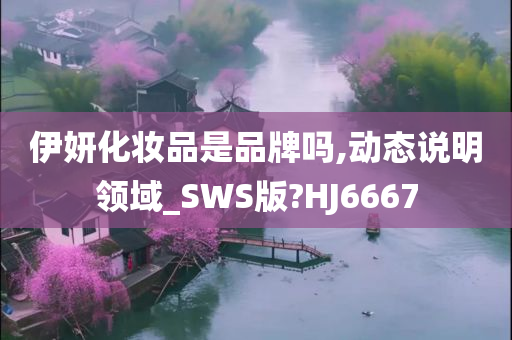 伊妍化妆品是品牌吗,动态说明领域_SWS版?HJ6667