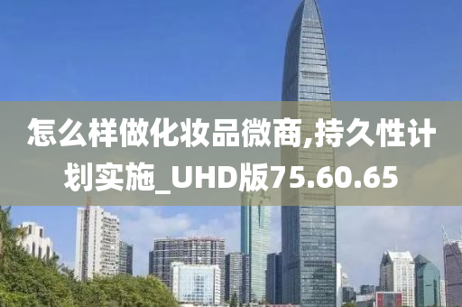 怎么样做化妆品微商,持久性计划实施_UHD版75.60.65