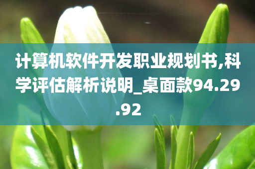 计算机软件开发职业规划书,科学评估解析说明_桌面款94.29.92