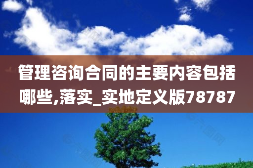 管理咨询合同的主要内容包括哪些,落实_实地定义版78787