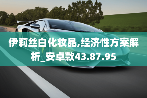 伊莉丝白化妆品,经济性方案解析_安卓款43.87.95