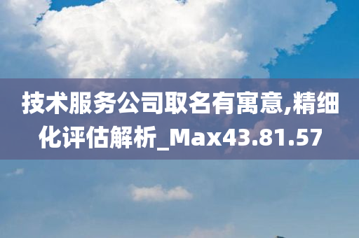 技术服务公司取名有寓意,精细化评估解析_Max43.81.57