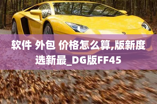 软件 外包 价格怎么算,版新度选新最_DG版FF45