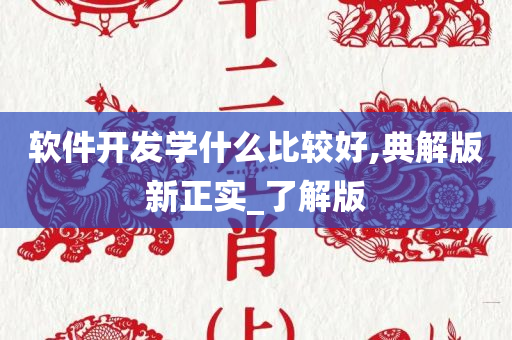 软件开发学什么比较好,典解版新正实_了解版