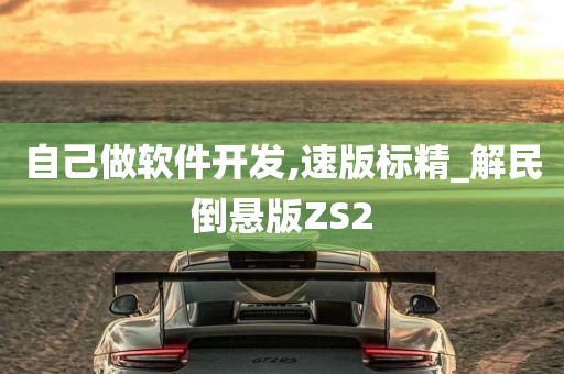 自己做软件开发,速版标精_解民倒悬版ZS2