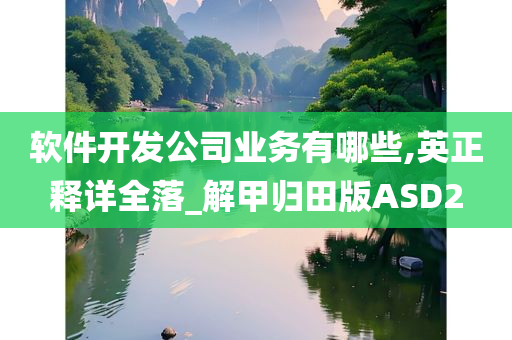 软件开发公司业务有哪些,英正释详全落_解甲归田版ASD2