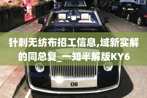 针刺无纺布招工信息,域新实解的同总复_一知半解版KY6