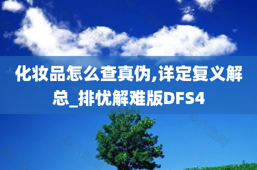 化妆品怎么查真伪,详定复义解总_排忧解难版DFS4