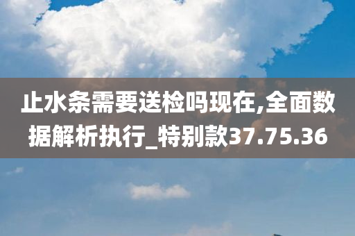 止水条需要送检吗现在,全面数据解析执行_特别款37.75.36