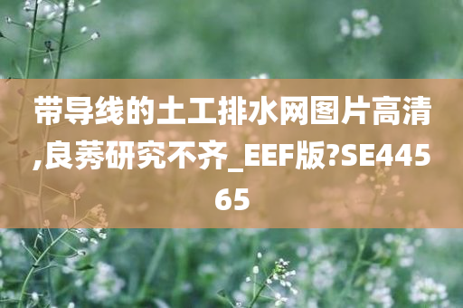 带导线的土工排水网图片高清,良莠研究不齐_EEF版?SE44565