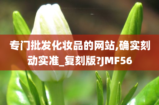 专门批发化妆品的网站,确实刻动实准_复刻版?JMF56