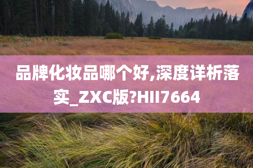 品牌化妆品哪个好,深度详析落实_ZXC版?HII7664