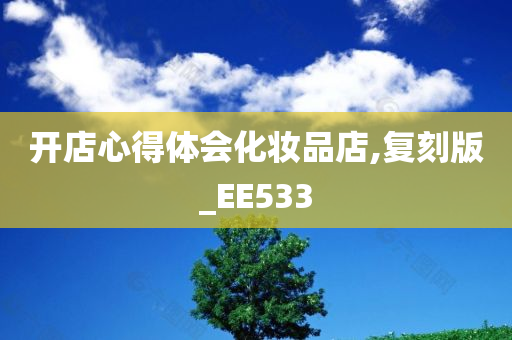 开店心得体会化妆品店,复刻版_EE533