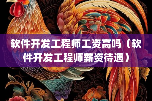 软件开发工程师工资高吗（软件开发工程师薪资待遇）