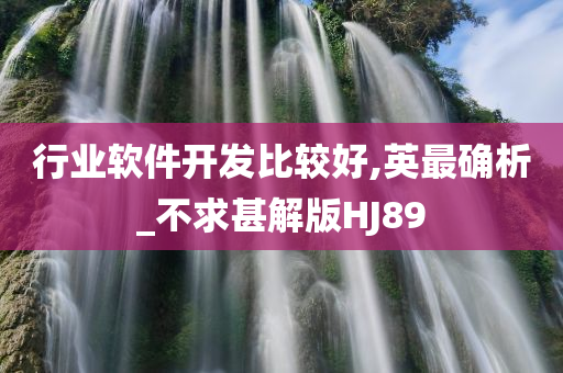 行业软件开发比较好,英最确析_不求甚解版HJ89