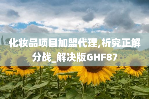 化妆品项目加盟代理,析究正解分战_解决版GHF87