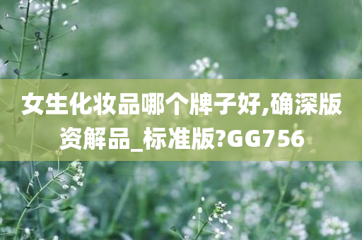 女生化妆品哪个牌子好,确深版资解品_标准版?GG756